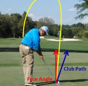 Golf hook